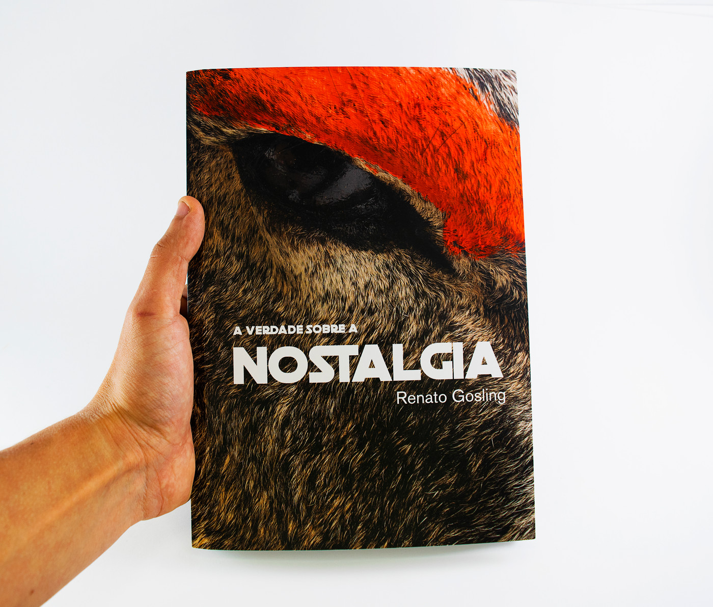 Capa original do livro A Verdade sobre a Nostalgia nas mãos de uma pessoa